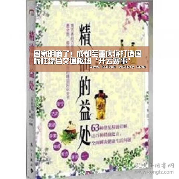 国家明确了!成都至重庆将打造国际性综合交通枢纽‘开云赛事’(图3) 开云赛事