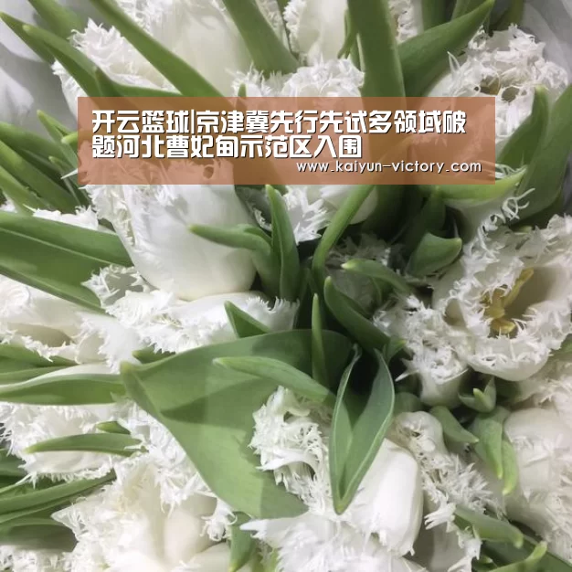 开云篮球|京津冀先行先试多领域破题河北曹妃甸示范区入围(图1) 开云体育