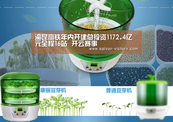 开云篮球