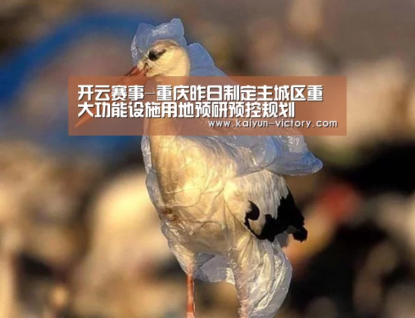 开云赛事-重庆昨日制定主城区重大功能设施用地预研预控规划(图1) 开云足球