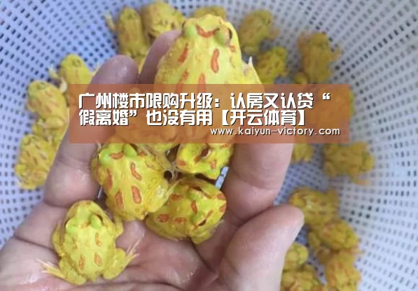 广州楼市限购升级:认房又认贷“假离婚”也没有用【开云体育】(图3) 开云赛事